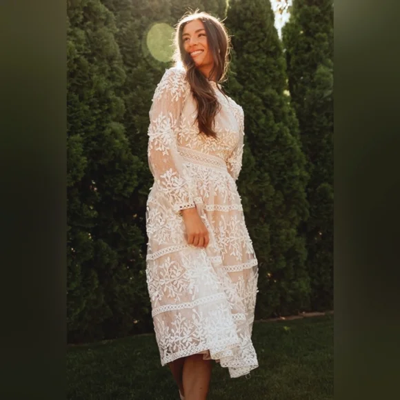 NWT Ivy City Co Sicily Dress Champagne Lining Size Medium - Picture 2 of 15